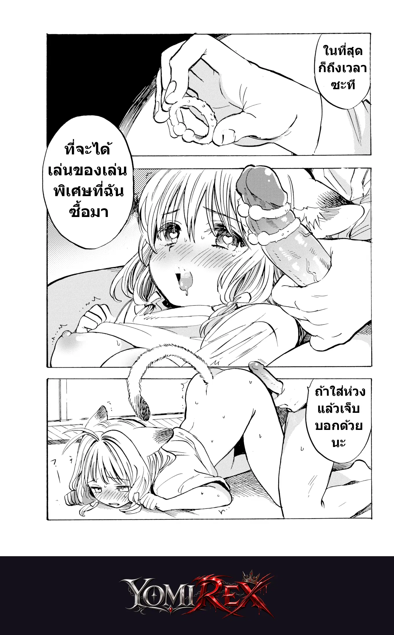 หน้า 17